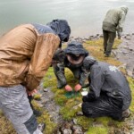 Photo : Olivier Verger