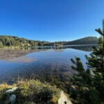 Photo : Olivier Verger