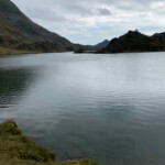 Photo : Eric Regnier