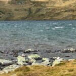 Photo : Eric Regnier