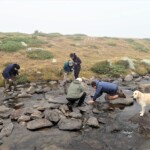 Photo : Patrick Bouland