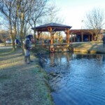 Photo : Patrick Bouland