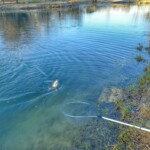 Photo : Patrick Bouland