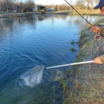 Photo : Patrick Bouland