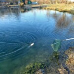 Photo : Patrick Bouland