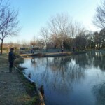 Photo : Patrick Bouland