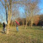 Photo : Patrick Bouland