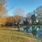 Photo : Patrick Bouland