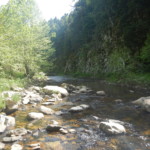 Photo : Alain Clopès