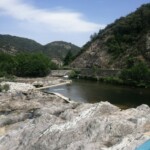 Photo : Christian Allègre