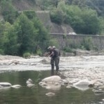 Photo : Christian Allègre