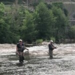 Photo : Christian Allègre