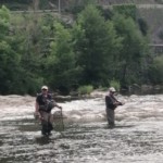 Photo : Christian Allègre