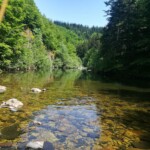 Photo : Alain Clopès