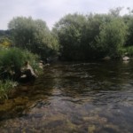 Photo : Christian Allègre