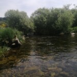 Photo : Christian Allègre