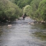 Photo : Christian Allègre