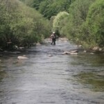 Photo : Christian Allègre