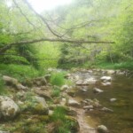 Photo : Alain Clopès