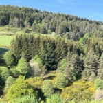 Photo : Eric Regnier