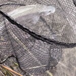 Photo Pierre Casellas