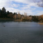 Photo : Christian Allègre