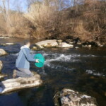 Photo : Christian Allègre