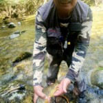 Jolie Fario de 34 cm prise sur le Vicdessos en Ariège