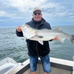 Un bar rayé de la côte est des États Unis.
"Juste à la maille." ;-)