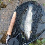 et une 36cm en suivant, toujours sur l'Orb