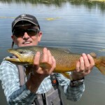 Belle fario, prise lors d'un séjour Idaho-Montana (Etats unis).