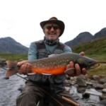 Omble arctique (Arctic Char) sur la rivière Erfalik au Groenland.
Les géniteurs sont les poissons avec le ventre rouge, les silvers, eux, n'ont pas encore atteints la maturité sexuelle de reproduction.