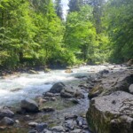 Dranse de Morzine - Reconnaissance - Parcours B11 - 19/07/2024