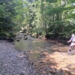 Brevon - PN 1 - Parcours C11 - 20/07/2024