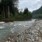 Dranse de Morzine - PN 2 - Parcours B2 - 21/07/2024