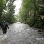 Dranse d'Abondance - PN 2 - Parcours A18 - 22/07/2024
