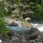 Brevon - PN 2 - Parcours C5 - 22/07/2024