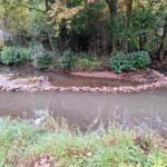 Taillevent
Photo Patrick B.