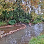 Taillevent
Photo Patrick B.