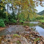 Taillevent
Photo Patrick B.