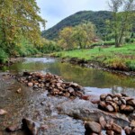 Taillevent
Photo Patrick B.