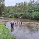 Taillevent
Photo Patrick B.