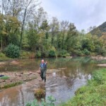 Taillevent
Photo Patrick B.