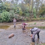 Taillevent
Photo Patrick B.