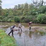 Taillevent
Photo Patrick B.