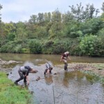 Taillevent
Photo Patrick B.